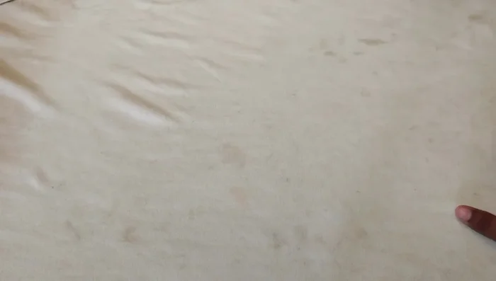 Drain the soaking water and spread the moong dal on a cloth under a fan to dry for 5-10 minutes. Do not dry completely; it should still be slightly moist.
