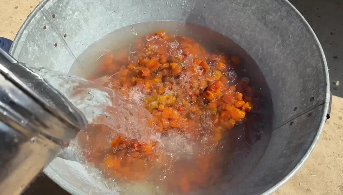 Soak 10 kg of aloo bukhara in 12 liters of water for an hour.