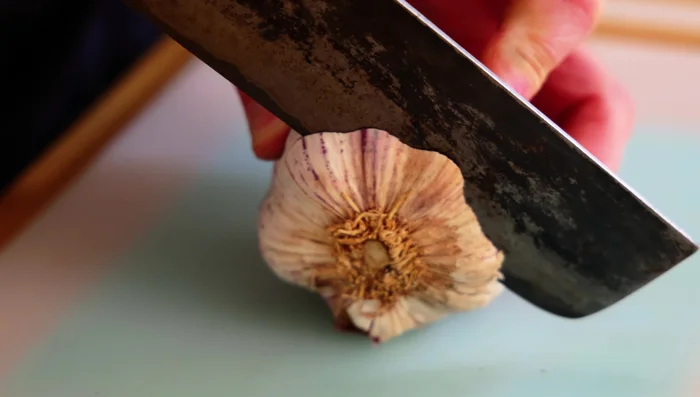 Grind garlic, ginger, and chilies into a paste using a blender or grinder.