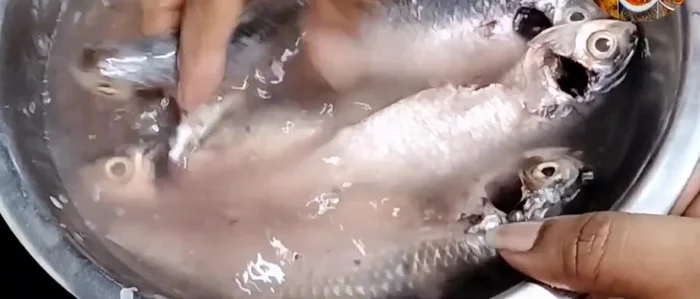 Clean and wash the purse fish thoroughly 2-3 times.