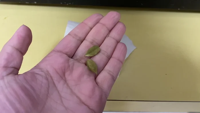 Open and grind 2 cardamom pods into a powder. (126.079)