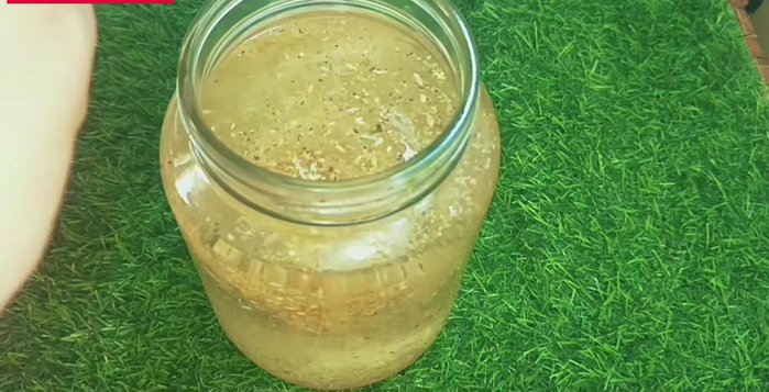 Mix well, cover the jar, and leave it on the countertop for 1-2 days to ferment. Mix it once a day.