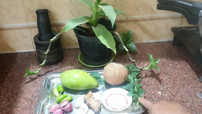 Combine grated coconut, chopped mangoes, chilies, small onions, garlic, ginger, bay leaf, black peppercorns, and salt in a mixer jar. (27.039, 28.56, 55.28, 59.359, 60.559)