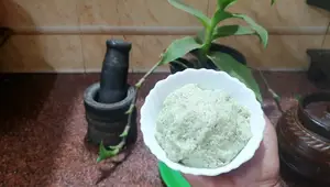 South Indian Mango Chutney Recipe (Mango Sammanthi)