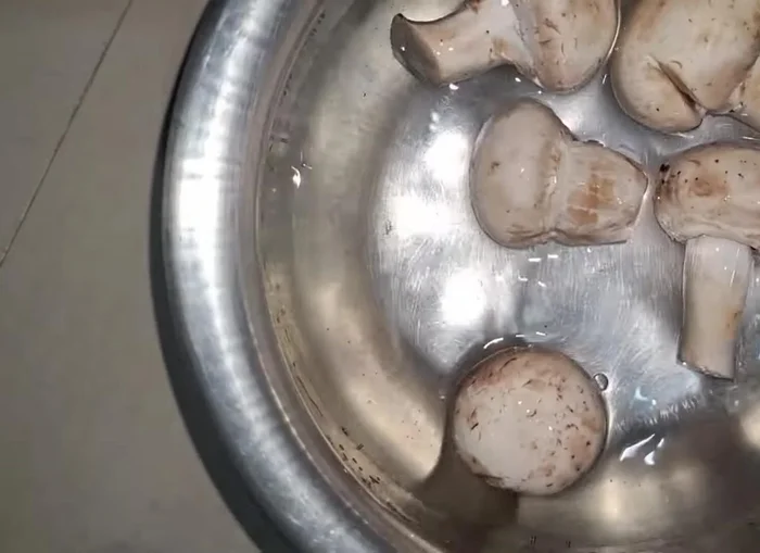Wash mushrooms thoroughly to remove mud or soil.