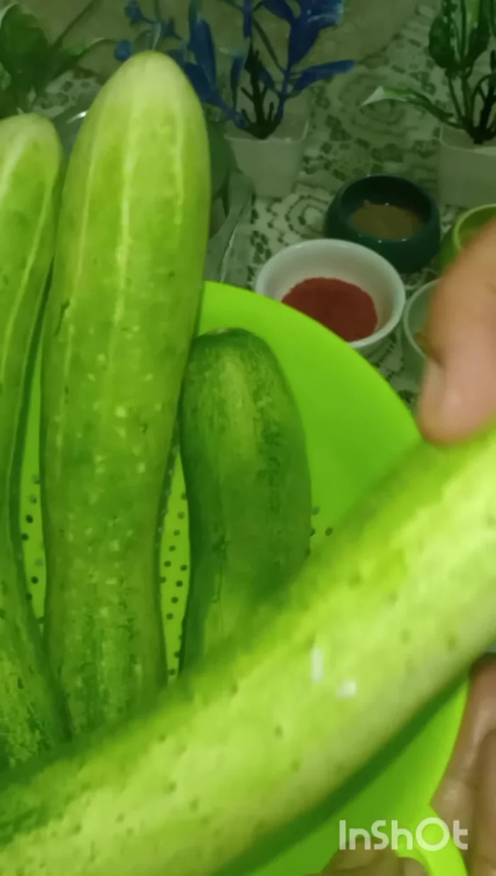 Cut the cucumbers thinly from bottom to top. You can use a chopper or cutting machine if preferred.