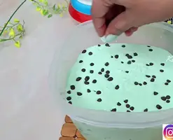 Refreshing Mint Chocolate Ice Cream: Homemade Recipe