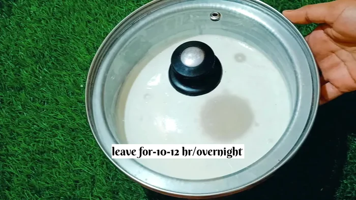 Cover the batter and let it ferment overnight (10-12 hours).