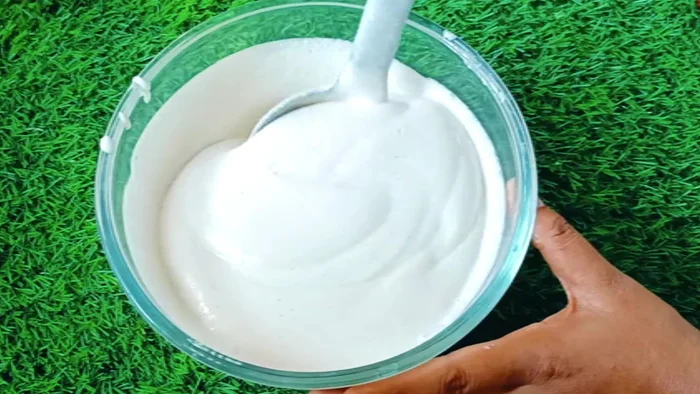 Add a little salt to the fermented batter and mix gently.