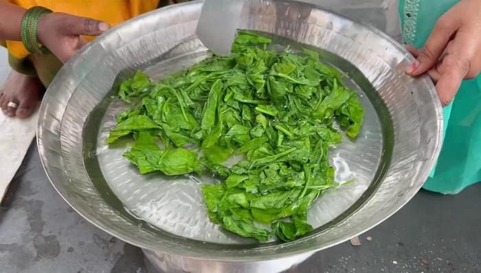 Once cooled, drain the spinach and grind it into a fine paste using a mixer. (141.61)