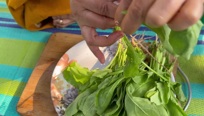 Select large spinach leaves and wash them.