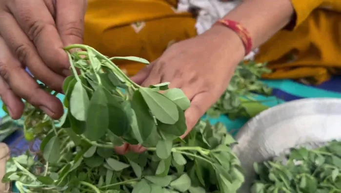 Separate and clean the fenugreek leaves.
