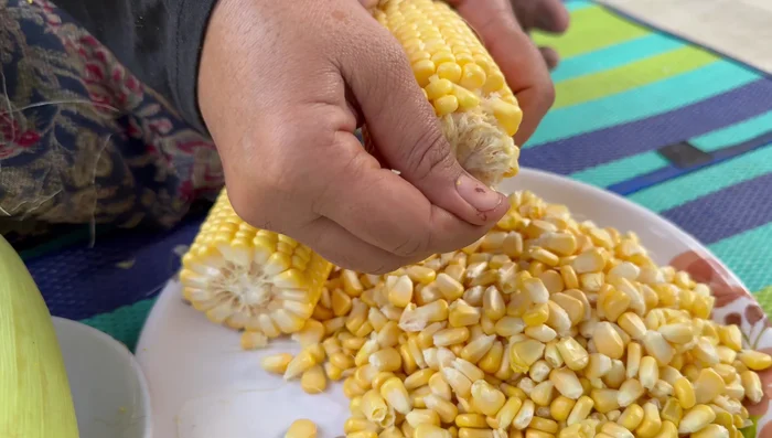 Open all the corn kernels.