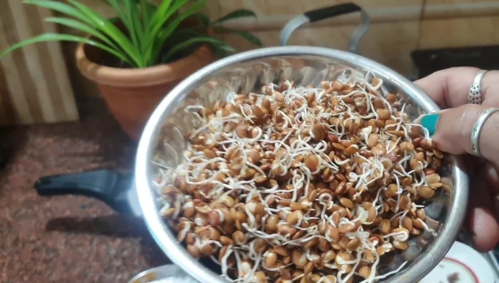 Add sprouted lentils, a little onion, 5 cloves of garlic, and a small tomato to a cooker.