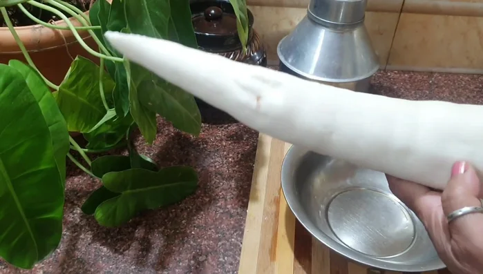 Wash the peeled tapioca thoroughly.