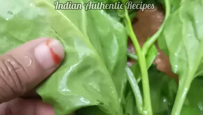 Wash spinach thoroughly before cutting. Remove the stem and only use the leaves.