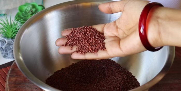 Wash ragi thoroughly 2-3 times until the dirt is completely gone. Soak overnight (at least 8 hours).
