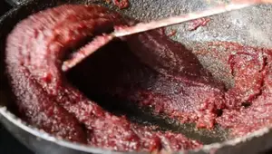 Homemade ABC Malt Powder Recipe: Easy Tamil Guide