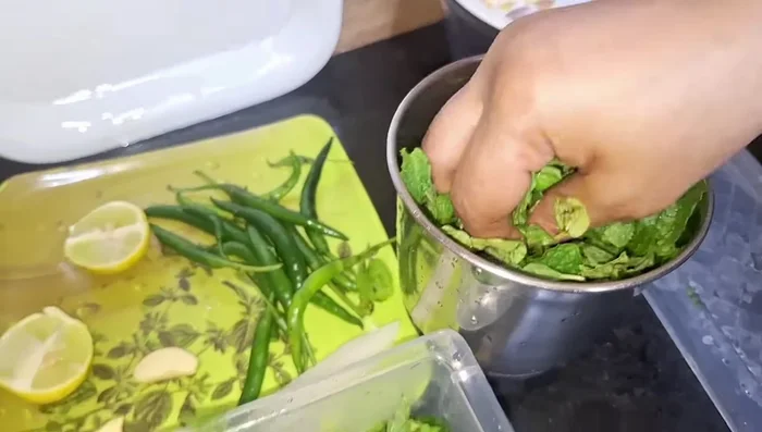 For the mint chutney: Blend mint leaves, green chilies, garlic cloves, coriander leaves, curd, water, and black salt until smooth.