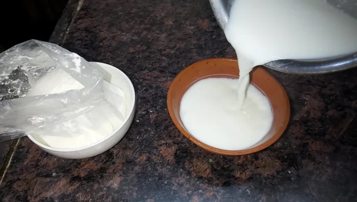 Pour the lukewarm milk into an earthen bowl.