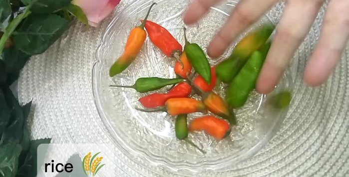 Grind red chilies.