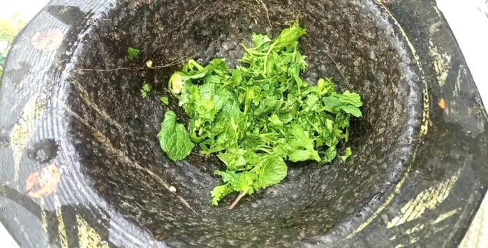 Prepare the raita: Blend green chilies, green coriander, mint, cumin, and salt. Mix with yogurt.