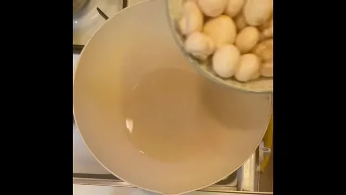Heat oil in a pan on medium flame. Add mushrooms, ½ teaspoon turmeric powder, 1 teaspoon chili powder, some mint leaves, oregano, and salt. Mix well and fry until light golden. (10.519)