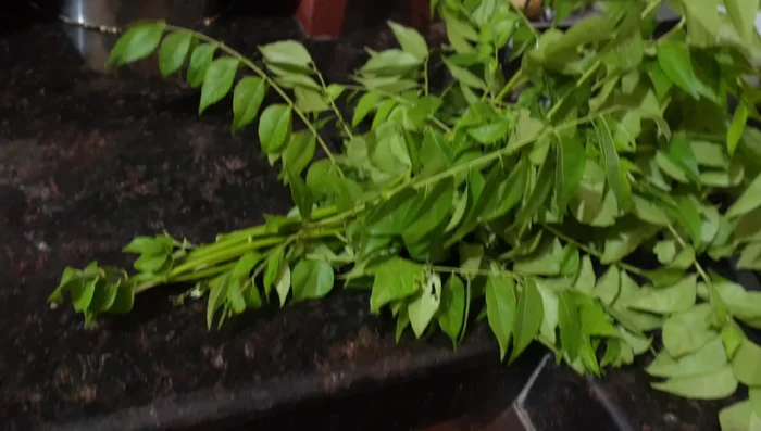 Dry the curry leaves. You can air dry them in a sieve for 2-3 days or dry roast them in a pan with a little oil. If dry roasting, ensure they're cooked through and not raw.