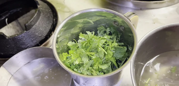 Wash and clean green coriander and mint.