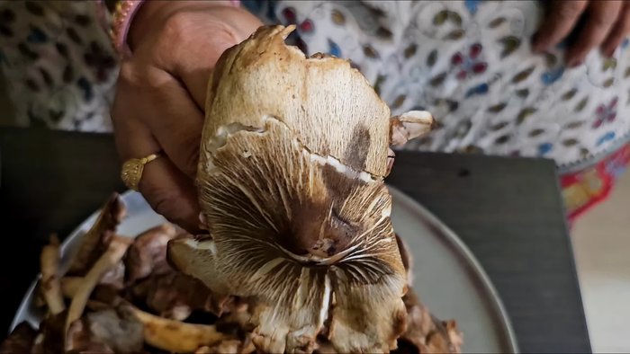 Wash the mushrooms thoroughly, changing the water 2-3 times.